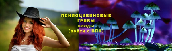 шишки Бронницы